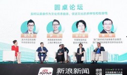 台湾绿委爆料新闻视频,揭露惊人内幕