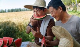 网红吃瓜八卦图片,揭秘娱乐圈幕后真相