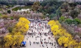 华南农业爆料事件视频,揭开养殖场惊人内幕